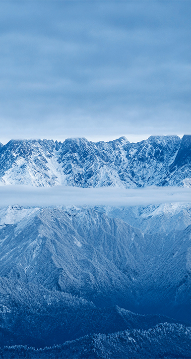 关于金狮贵宾会
