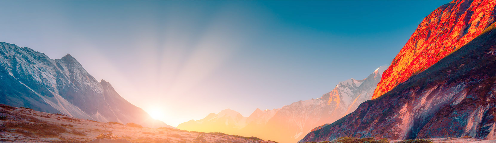 关于金狮贵宾会