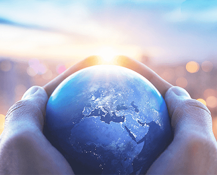 金狮贵宾会资本